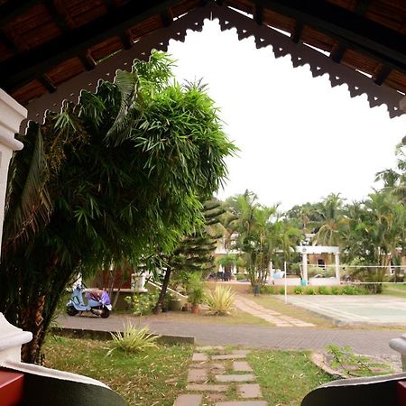 White Square Nirvana, Parra Mapusa Ngoại thất bức ảnh