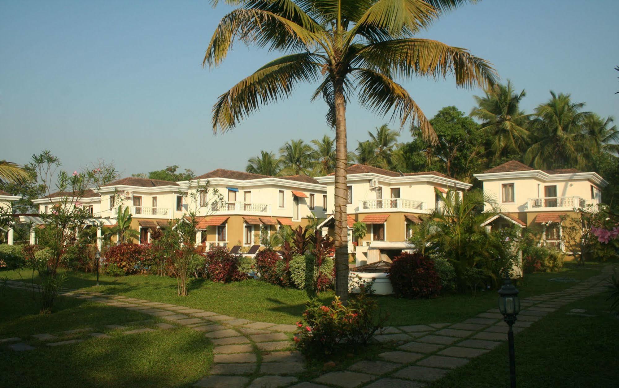 White Square Nirvana, Parra Mapusa Ngoại thất bức ảnh